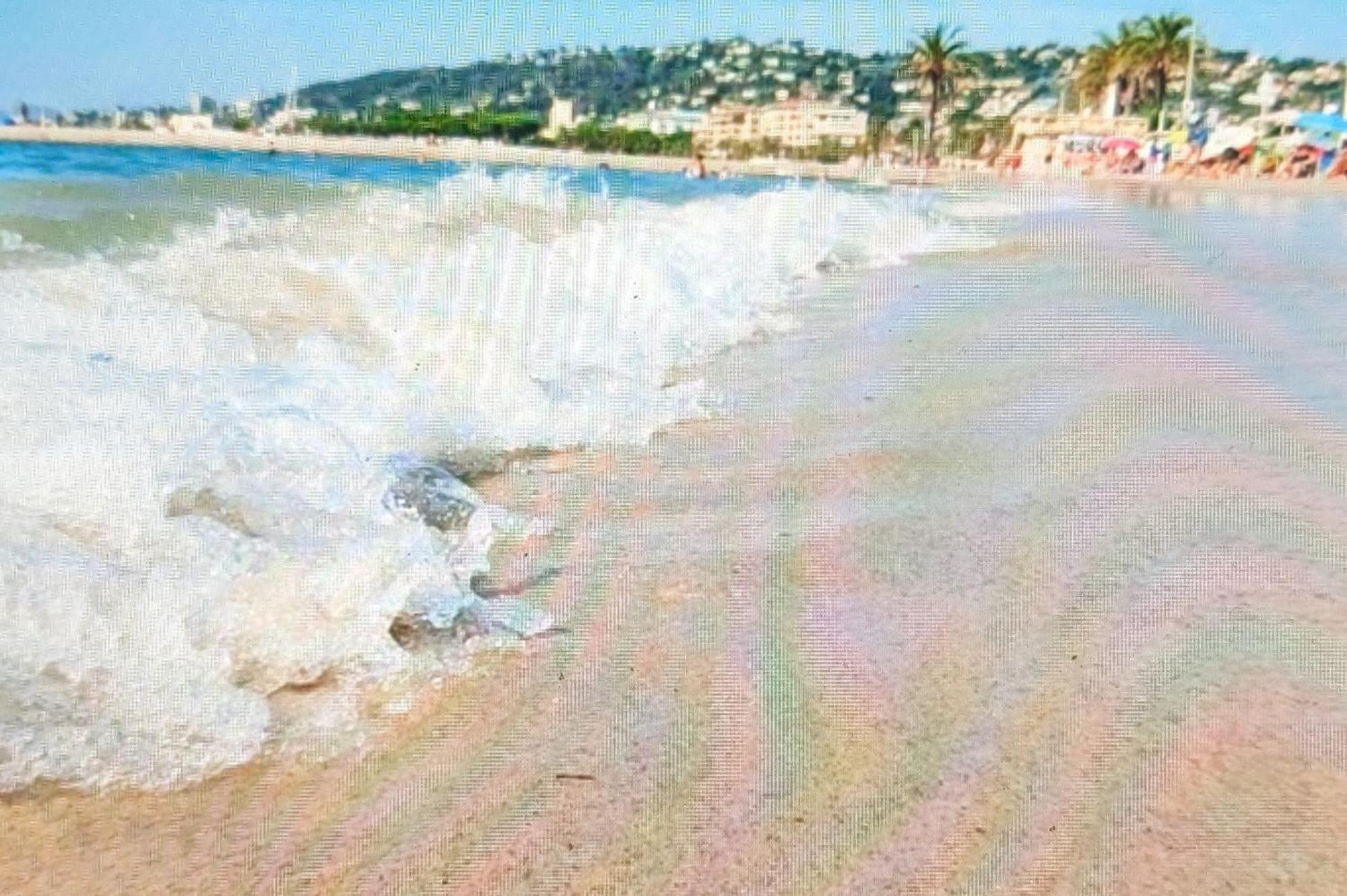 Residence De Vacances Avec Piscine & Transat, A 2 Minutes Des Plages - Bat N2 ヴァロリス エクステリア 写真
